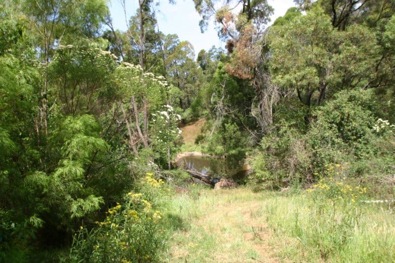 235 Ridge Road, CENTRAL TILBA NSW 2546, Central Tilba - Thumbnail 4