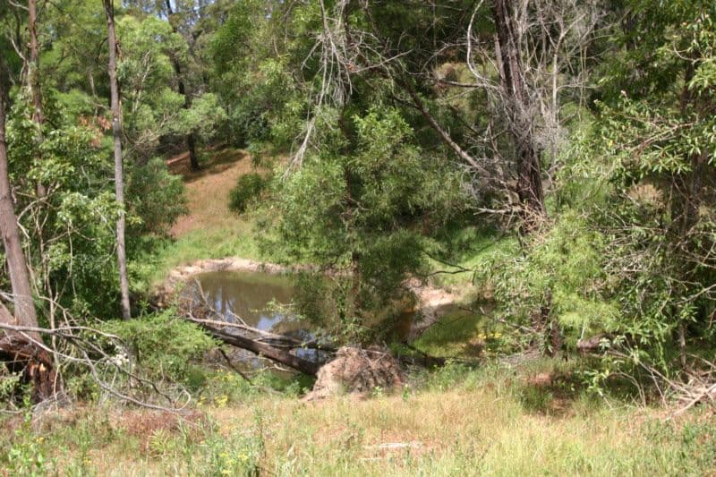 235 Ridge Road, CENTRAL TILBA NSW 2546, Central Tilba - Thumbnail 5