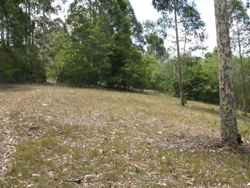 235 Ridge Road, CENTRAL TILBA NSW 2546, Central Tilba - Thumbnail 6