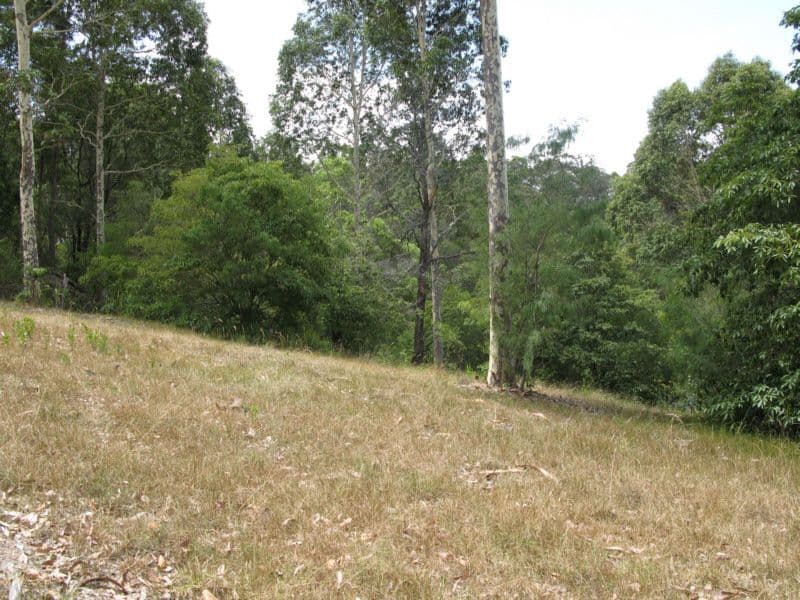 235 Ridge Road, CENTRAL TILBA NSW 2546, Central Tilba - Thumbnail 7