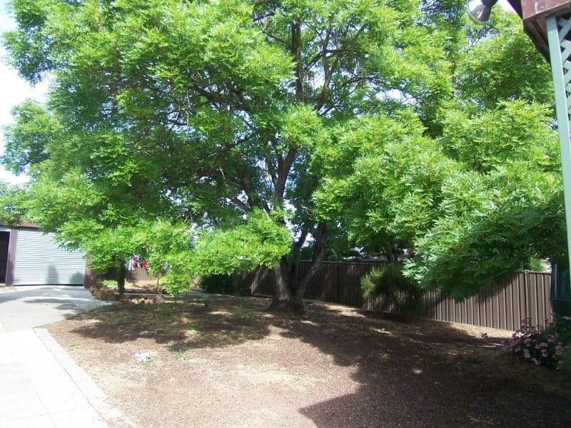 LONG GULLY VIC 3550, Long Gully - Thumbnail 6
