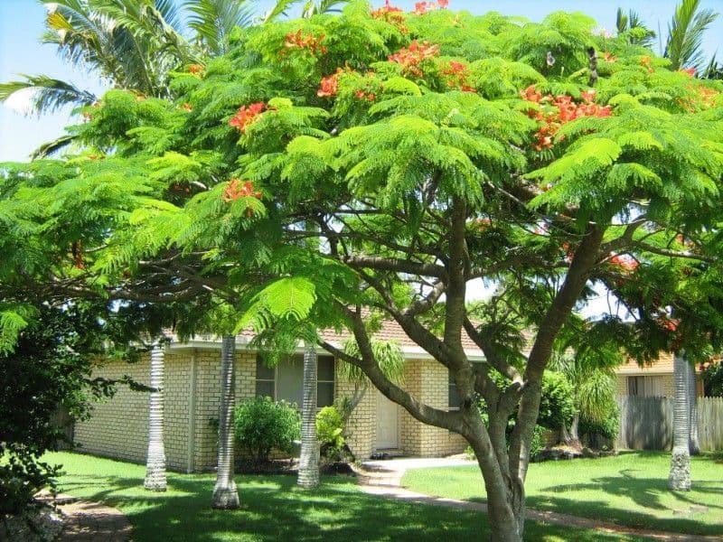 EAST BALLINA NSW 2478, East Ballina - Thumbnail 4
