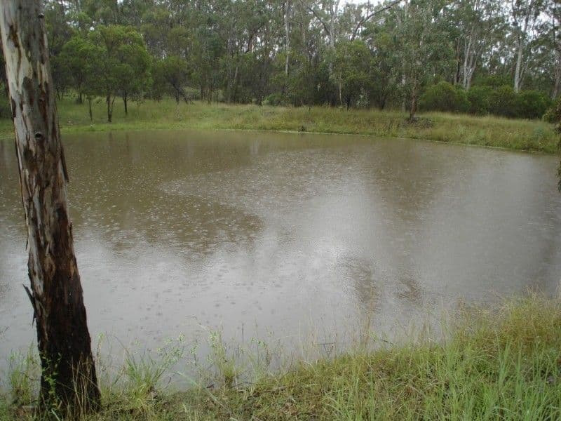 350 Kumbia Road, ELLESMERE QLD 4610, Ellesmere - Thumbnail 2