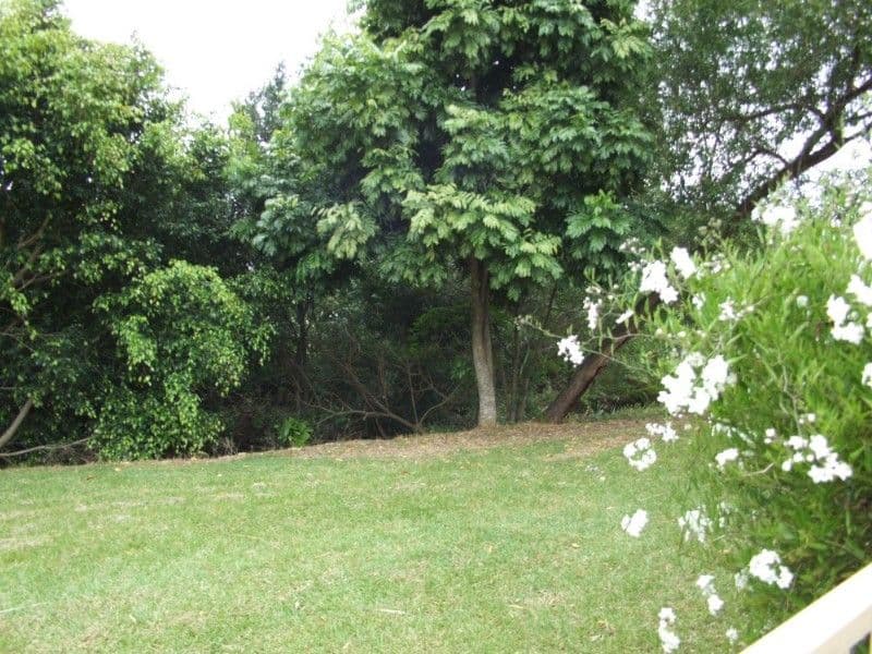 6 Bonalbo Close, COFFS HARBOUR NSW 2450, Coffs Harbour - Thumbnail 7
