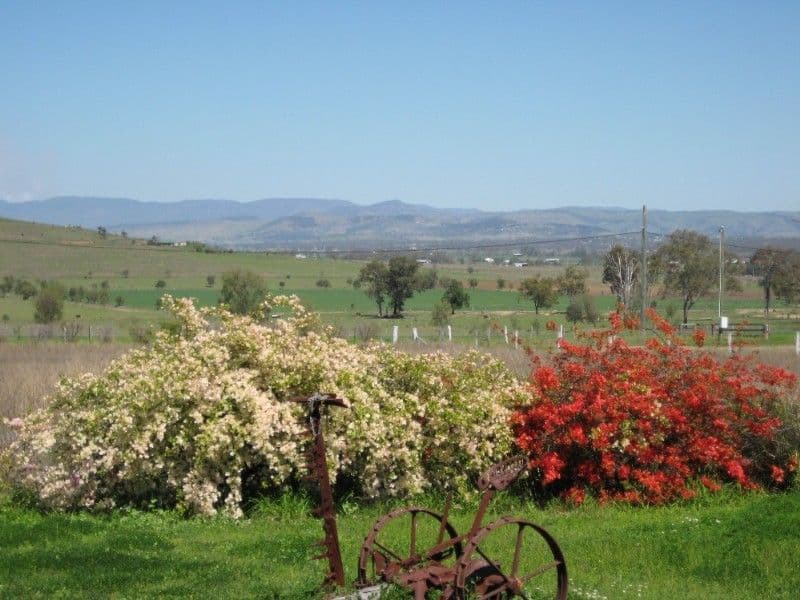 35 Pats Road, LAIDLEY QLD 4341, Laidley - Thumbnail 6