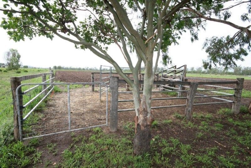 131 Sara's Lane, BILOELA QLD 4715, Biloela - Thumbnail 8