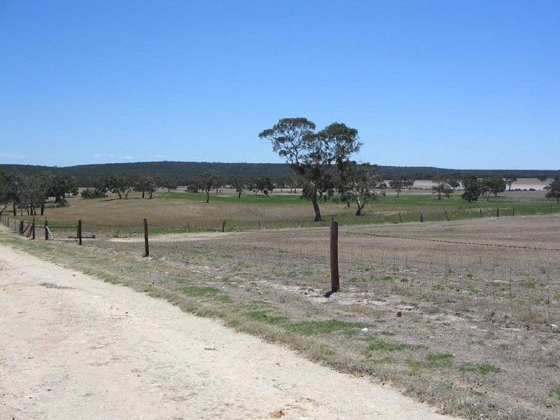 section 92 Old Stone Tank Road, MUNDULLA SA 5270, Mundulla - Image 1