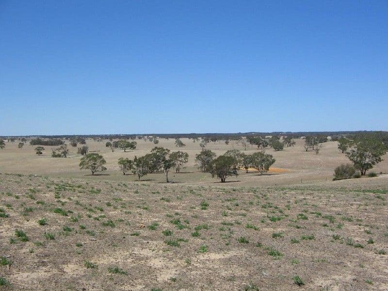 section 92 Old Stone Tank Road, MUNDULLA SA 5270, Mundulla - Thumbnail 5