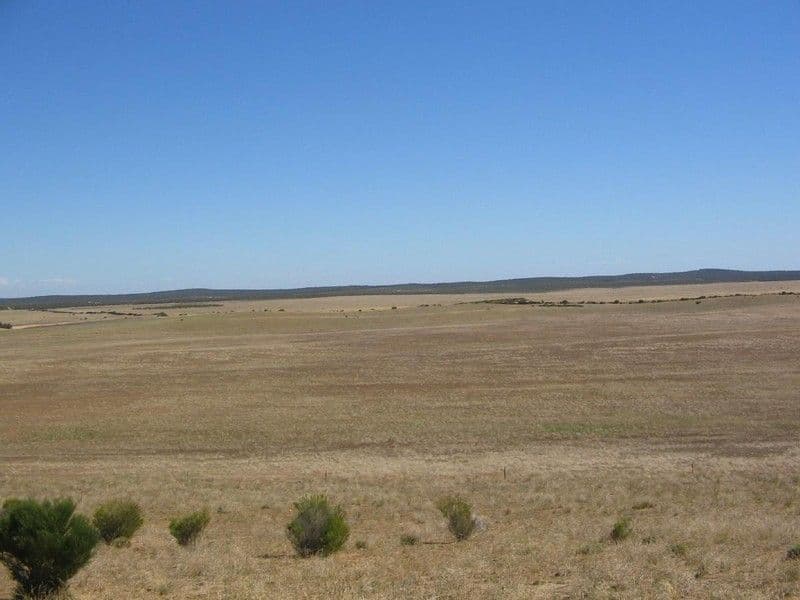 112  Kulkami/Mulpata Road, LAMEROO SA 5302, Lameroo - Image 1