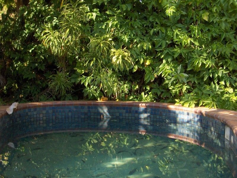 6 Leviathan Court, ANULA NT 0812, Anula - Image 1