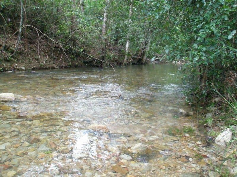 ATHERTON QLD 4883, Atherton - Thumbnail 3