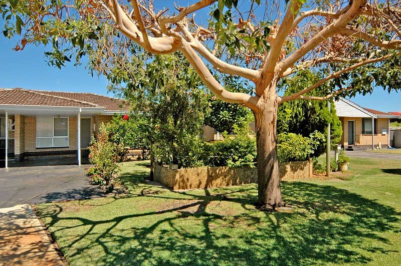 15B Paringa Street, MORLEY WA 6062, Morley - Image 1