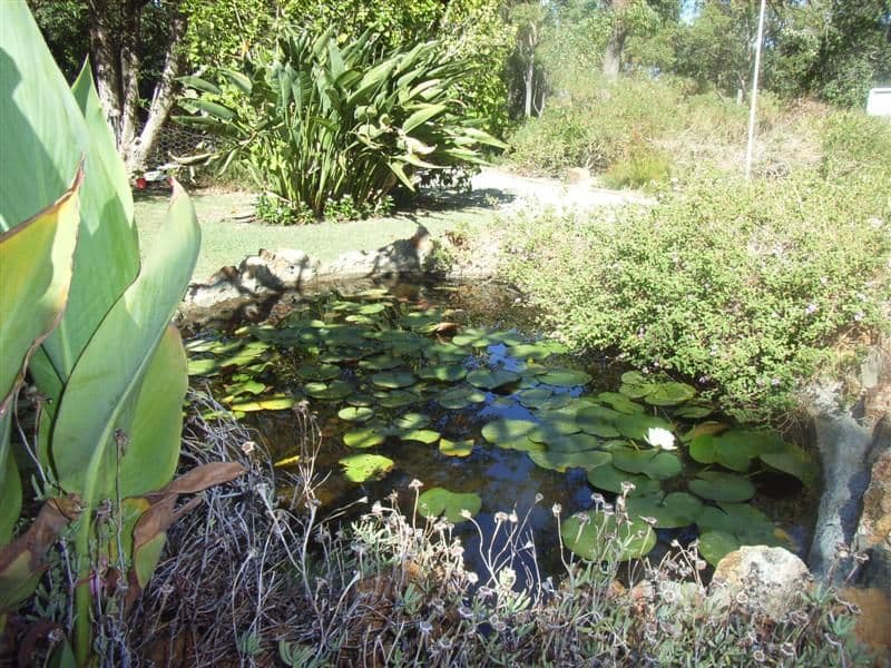 107 Hawtin Road, MAIDA VALE WA 6057, Maida Vale - Thumbnail 3
