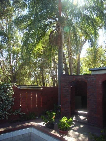 107 Hawtin Road, MAIDA VALE WA 6057, Maida Vale - Thumbnail 8