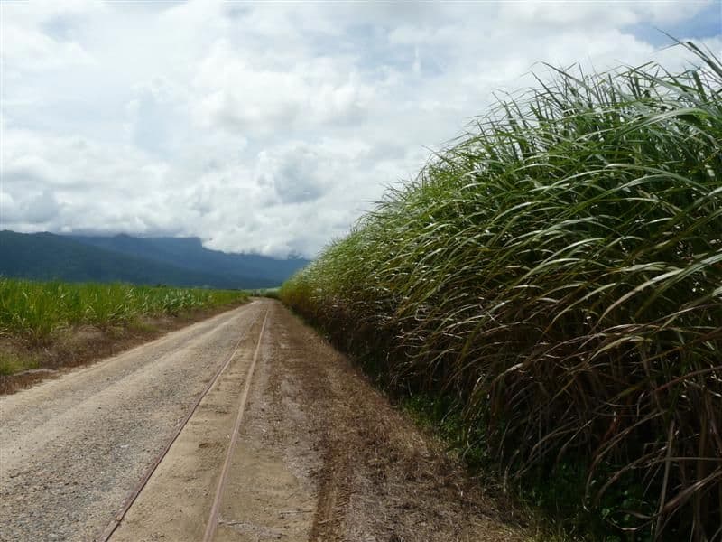 Lot 1 Goldsworthy Road, MIRIWINNI QLD 4871, Mirriwinni - Thumbnail 6