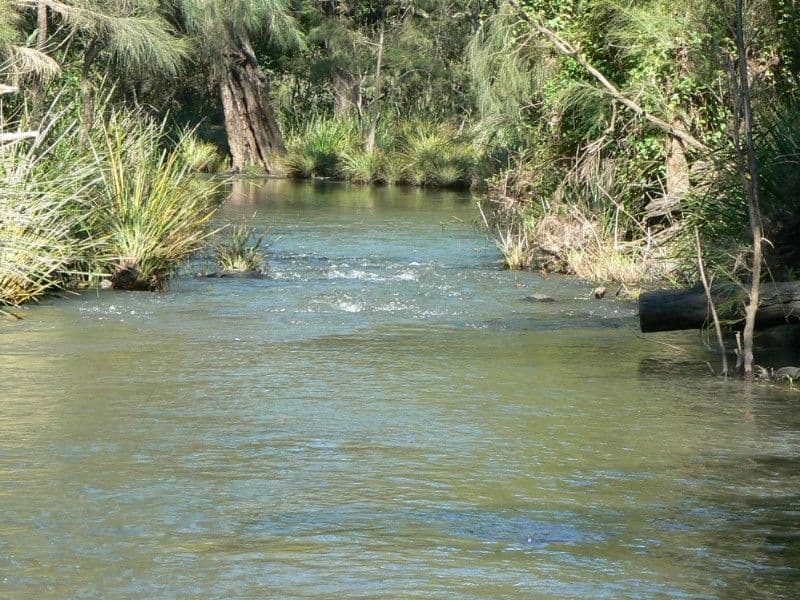 6 Skyring Street, Wandal QLD, Wandal - Thumbnail 2