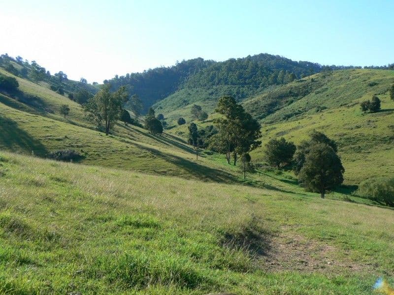 6 Skyring Street, Wandal QLD, Wandal - Thumbnail 3