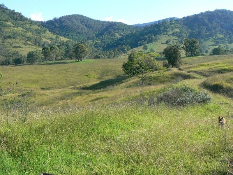 6 Skyring Street, Wandal QLD, Wandal - Thumbnail 4