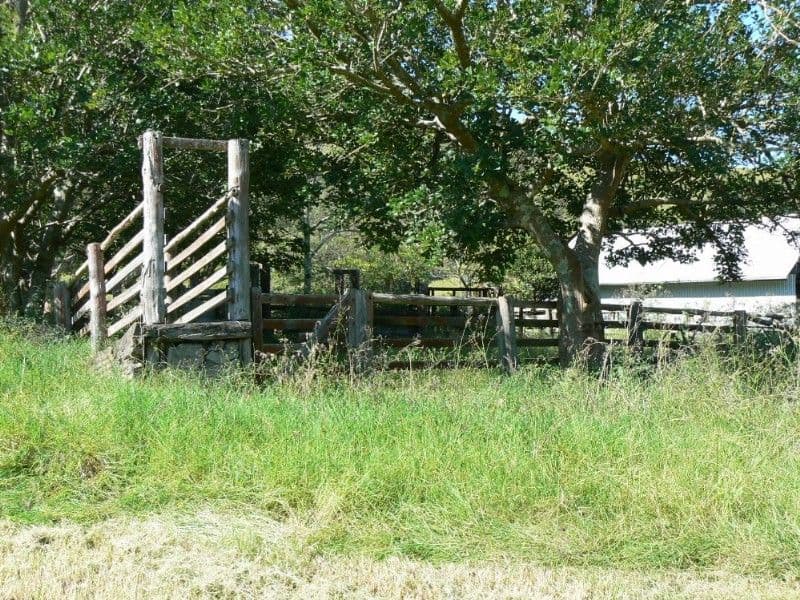 6 Skyring Street, Wandal QLD, Wandal - Thumbnail 5