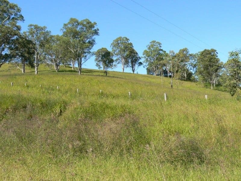 6 Skyring Street, Wandal QLD, Wandal - Thumbnail 7