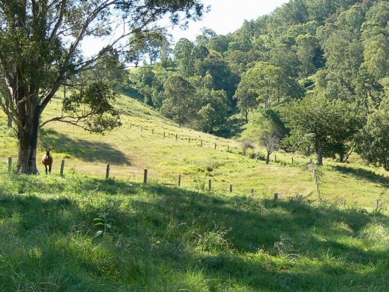 6 Skyring Street, Wandal QLD, Wandal - Thumbnail 8