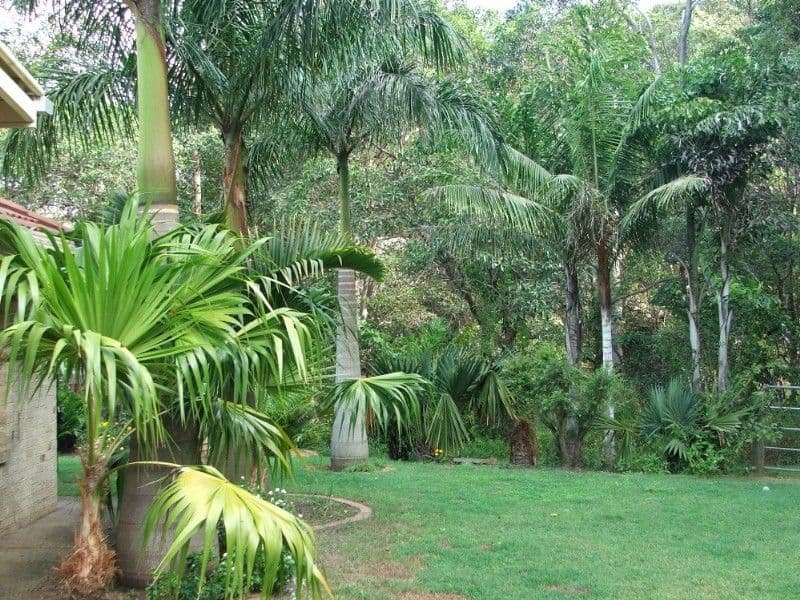 24 Thomas Place, UPPER KEDRON QLD 4055, Upper Kedron - Thumbnail 4