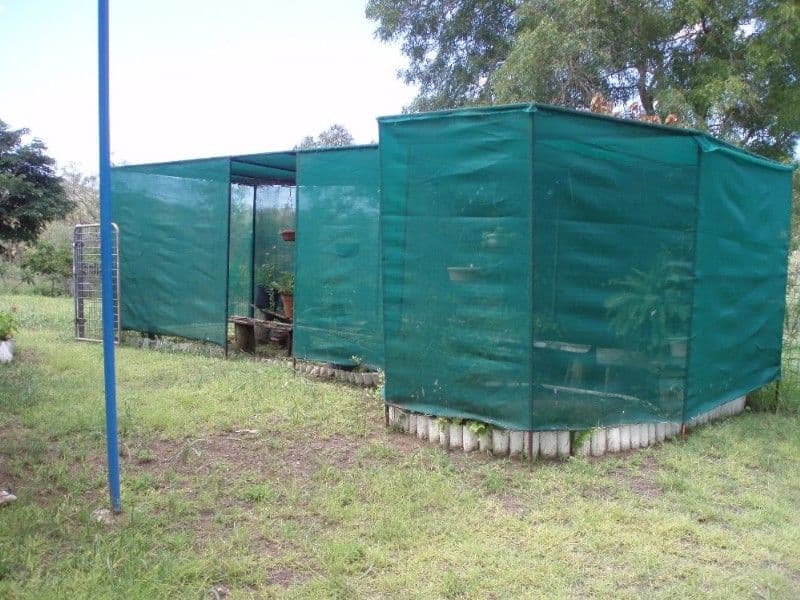 8 Calliungal Road, BAREE QLD 4714, Baree - Thumbnail 7