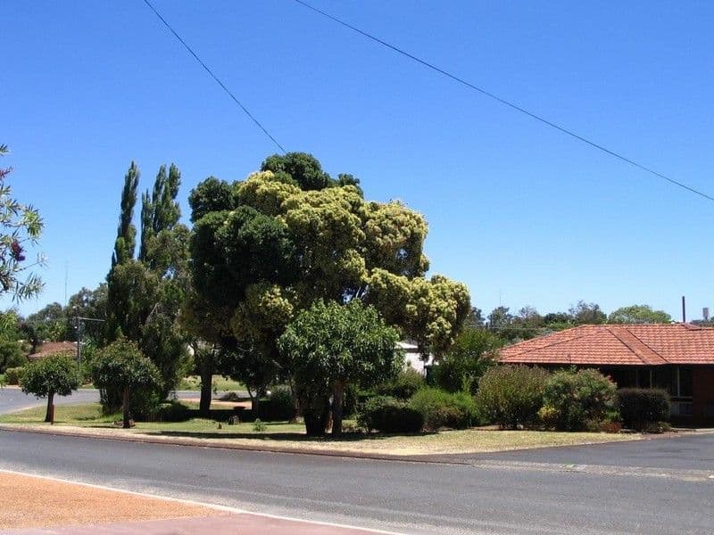4 Bryant Street, EATON WA 6232, Eaton - Image 1