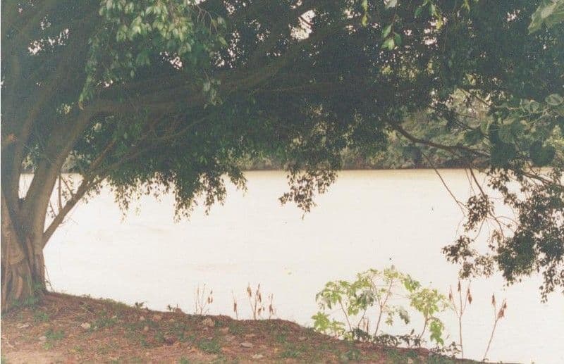 CORDELIA QLD 4850, Cordelia - Image 1