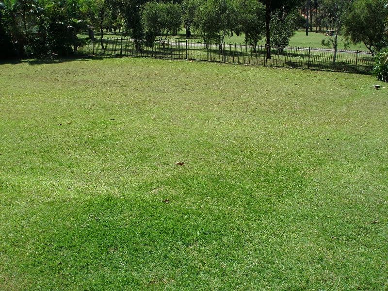 7 Hazel Court, ARUNDEL QLD 4214, Arundel - Thumbnail 5