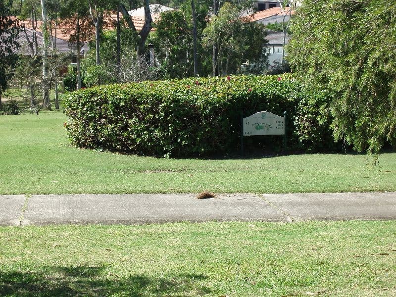7 Hazel Court, ARUNDEL QLD 4214, Arundel - Thumbnail 6