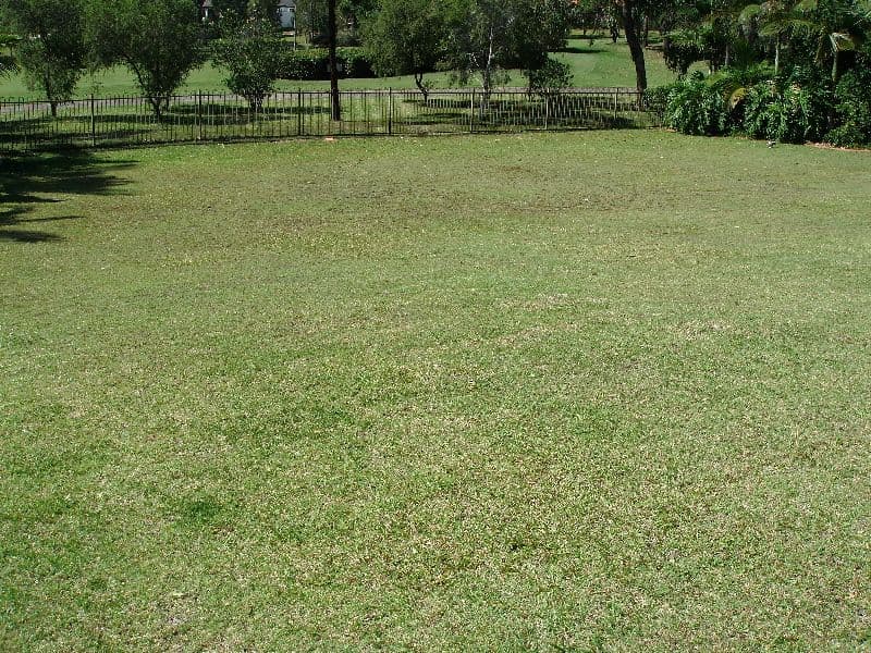 7 Hazel Court, ARUNDEL QLD 4214, Arundel - Thumbnail 7