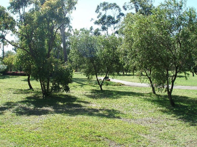 7 Hazel Court, ARUNDEL QLD 4214, Arundel - Thumbnail 8
