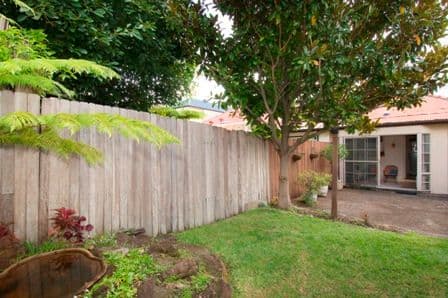 14 Brisbane Street, FAIRLIGHT NSW 2094, Fairlight - Thumbnail 3