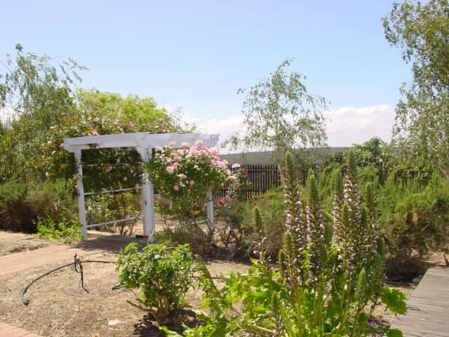 MOUNT BARKER WA 6324, Mount Barker - Thumbnail 8
