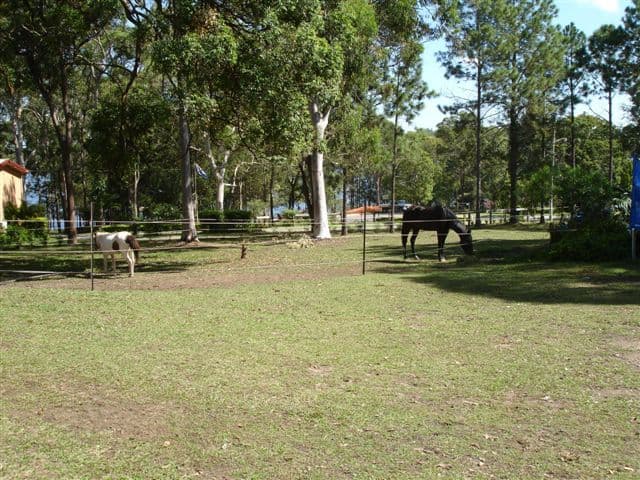 32 Allambee Crescent, CAPALABA QLD 4157, Capalaba - Thumbnail 6
