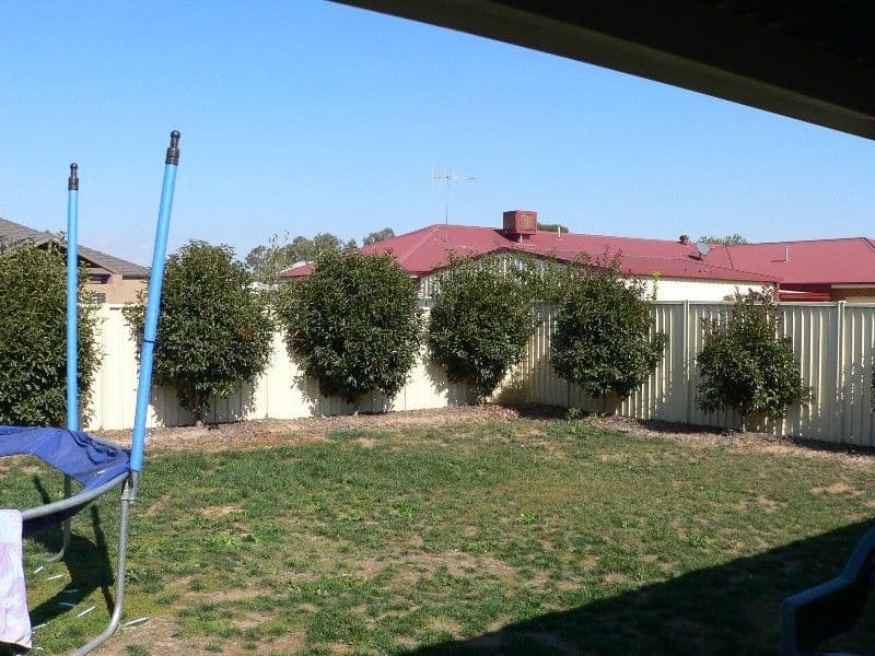 111 Cowan Street, BENALLA VIC 3672, Benalla - Thumbnail 3