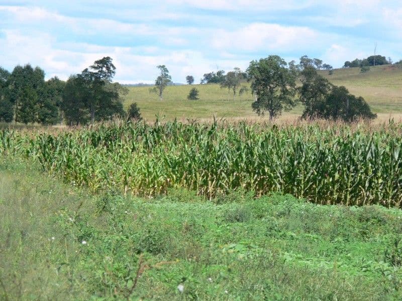 KYOGLE NSW 2474, Kyogle - Thumbnail 2