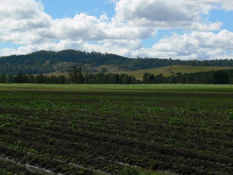 KYOGLE NSW 2474, Kyogle - Thumbnail 3