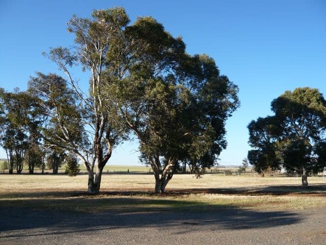 Lot 4 Willalo Road, HALLETT SA 5419, Hallett - Thumbnail 2
