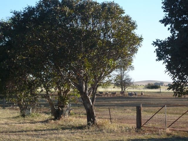 Lot 4 Willalo Road, HALLETT SA 5419, Hallett - Thumbnail 5