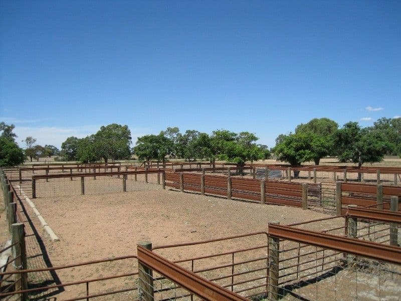 DENILIQUIN NSW 2710, Deniliquin - Thumbnail 5