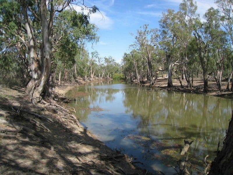 DENILIQUIN NSW 2710, Deniliquin - Thumbnail 7
