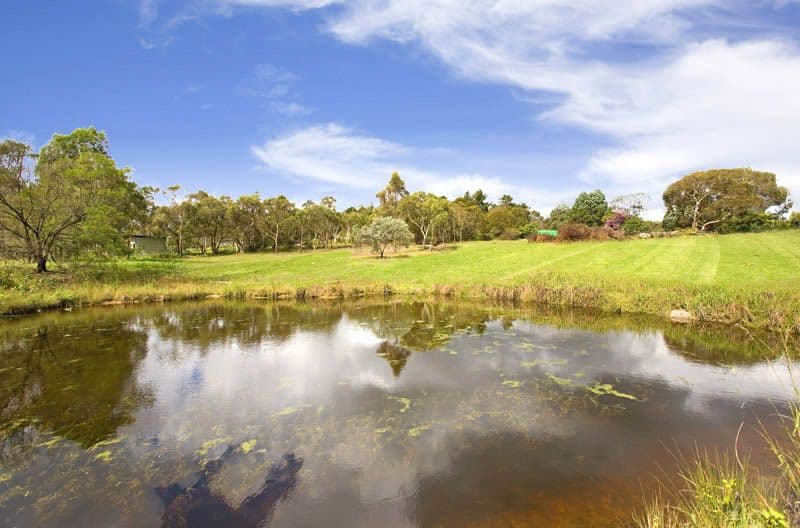 378 Joalah Avenue, DUFFYS FOREST NSW 2084, Duffys Forest - Thumbnail 5