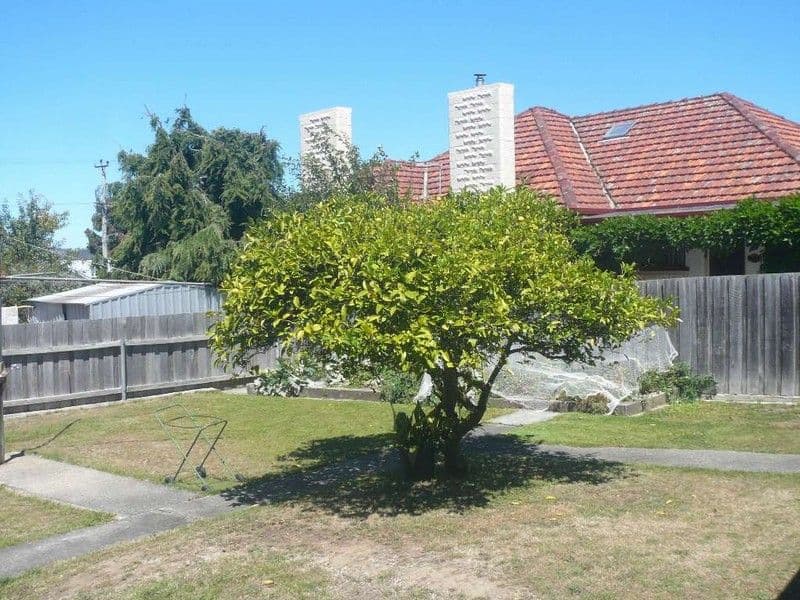 200 Cambridge Street, WEST LAUNCESTON TAS 7250, West Launceston - Thumbnail 7