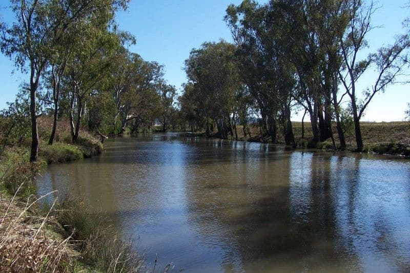 113 Harrison Road, WARWICK QLD 4370, Warwick - Thumbnail 4