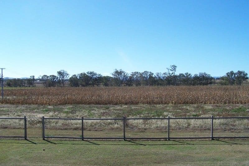 113 Harrison Road, WARWICK QLD 4370, Warwick - Thumbnail 6