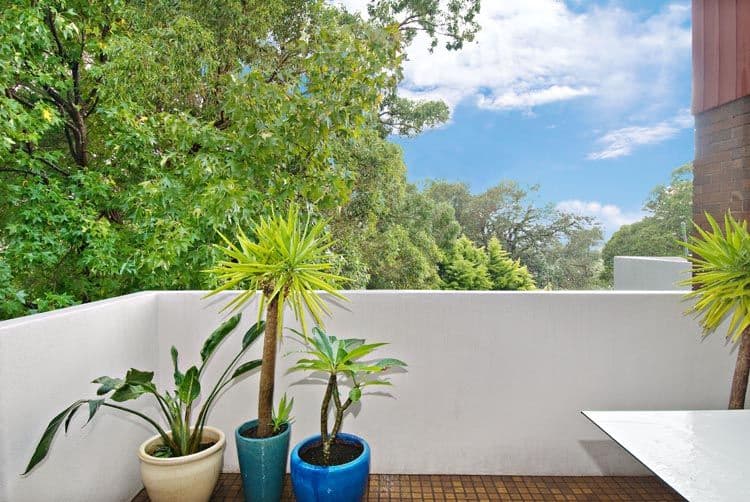 23 Walton Crescent, ABBOTSFORD NSW 2046, Abbotsford - Thumbnail 5