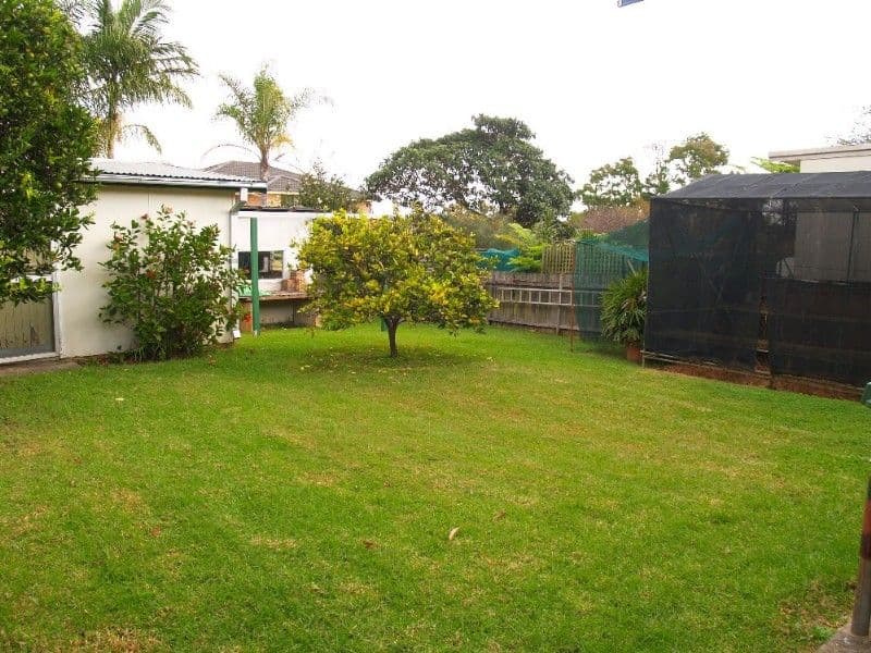 8 Christine Avenue, RYDE NSW 2112, Ryde - Thumbnail 6