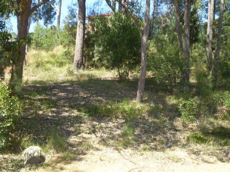 49 Albatross Road, CATALINA NSW 2536, Catalina - Thumbnail 2
